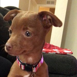 Meet your Posher, Yuri